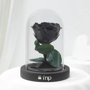 Black Amour Forever Rose