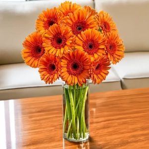 Orange Gerberas in a Vase